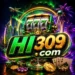 HI309 Game