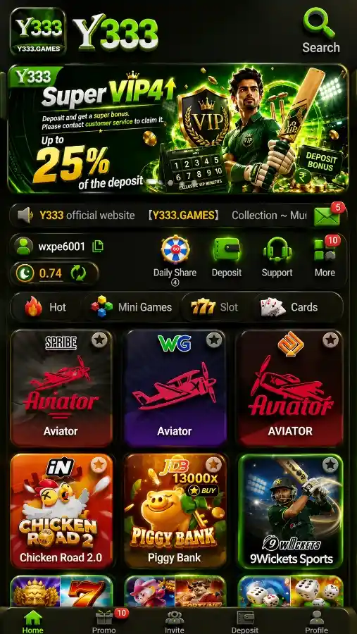 Y333 Game