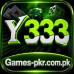 Y333 Game